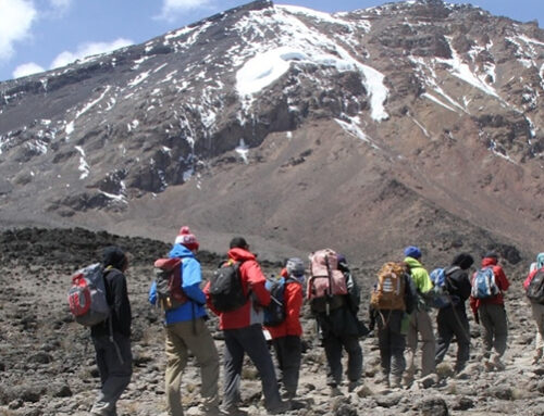 KILIMANJARO CLIMB VIA MARAGU