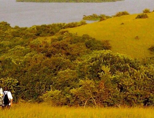 Ndere Island National Park