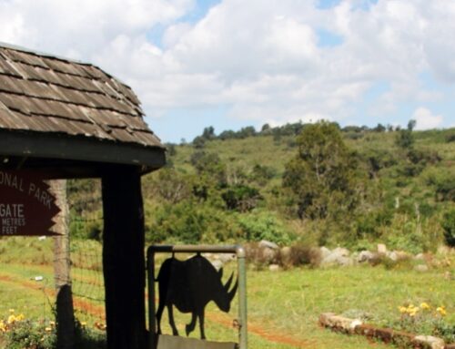 Aberdare National Park