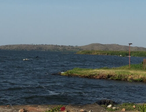 THE VICTORIA FALLS SAFARI