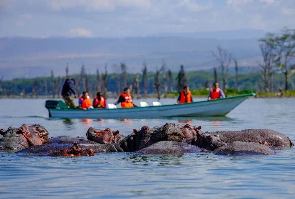 boating-around-Lake-Naivasha-1000×675-ezgif.com-webp-to-jpg-converter
