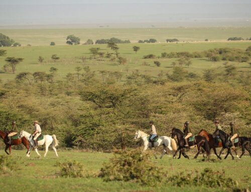 Horse Riding Adventure in Tsavo