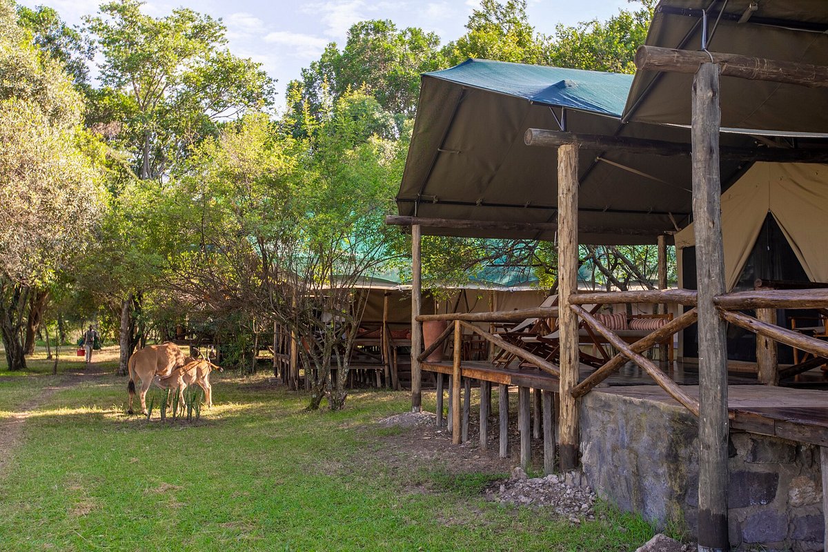 Ready to swap the hustle for some fresh air? Epic Outdoor Escapes Await!