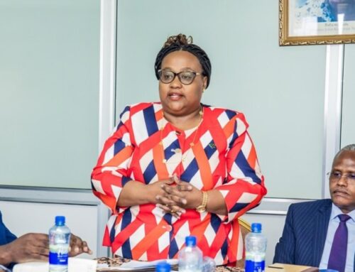 Tanzania Surpasses Tourism Target Attracting Record 5.36MM Tourists in 2024