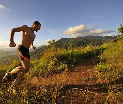 Kenya Wildlife Marathon