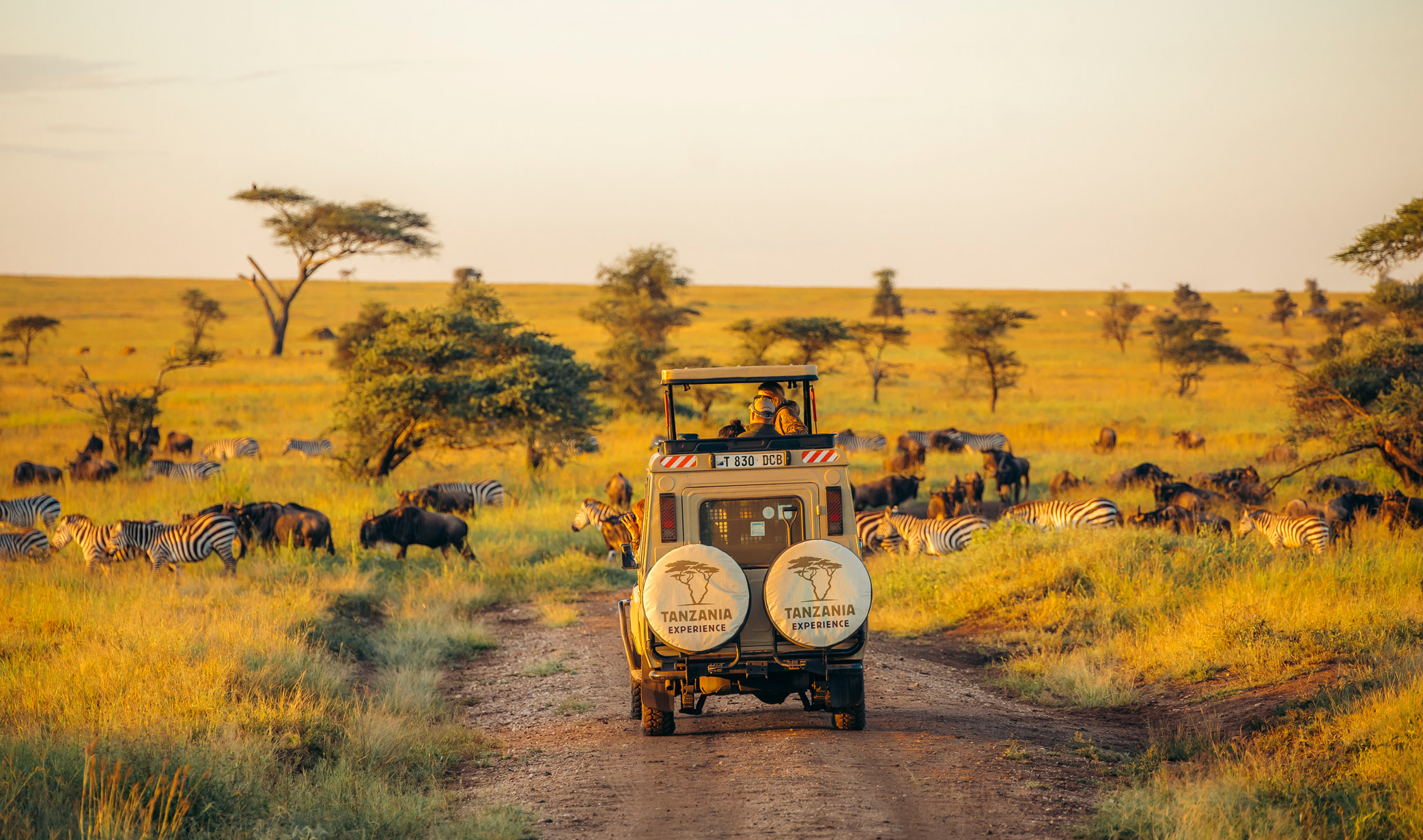 serengeti-tanzania-safari-vehicle
